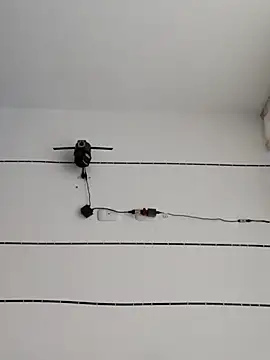 candylatina21 online show from 06.26.26