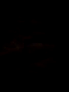 luna2977 online show from 06.30.26