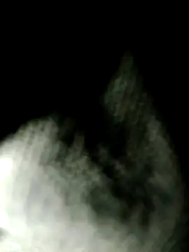 Cant get caught online show from 07.29.26