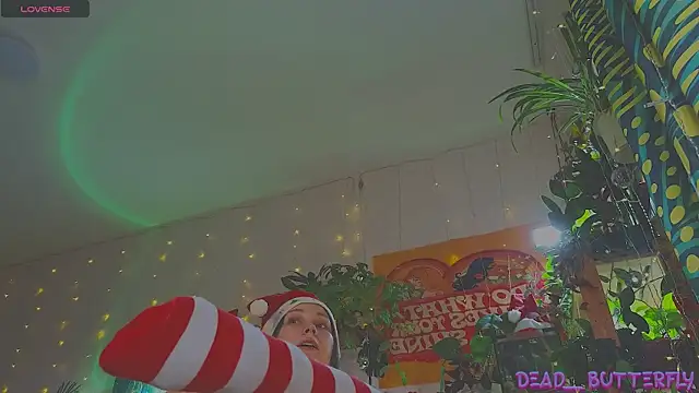 Dead Butterfly online show from 12.27.24