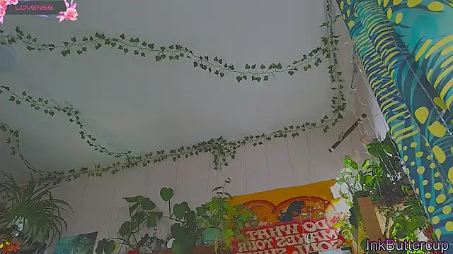 Dead Butterfly online show from 09.18.25