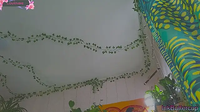 Dead Butterfly online show from 09.24.25