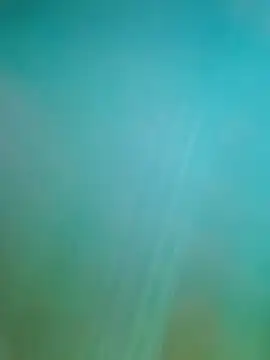 Steveschaw online show from 02.19.25