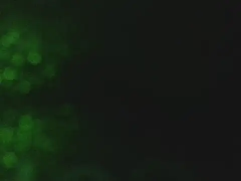 lonelycock33 online show from 11.07.25