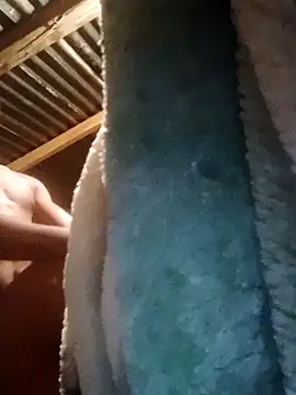 2soyte online show from 10.14.25