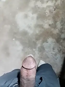 Snapshot of Bengali_BULL1 chatting on 11.15.25 Bengali BULL1 online show from 11.15.25