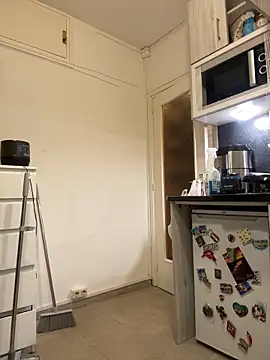 ladyturtle online show from 03.29.26