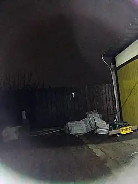 sarpe4 online show from 11.20.25