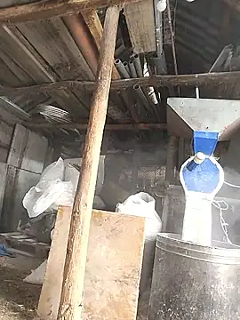 sarpe4 online show from 01.08.26