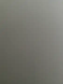 Bull8 online show from 02.26.25