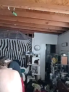 N8daMac online show from 11.11.25