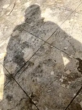 curcuro online show from 03.01.26