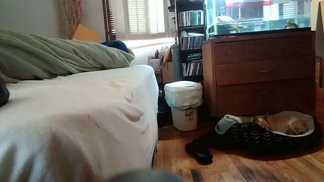 jumpingtomflash online show from 04.16.26