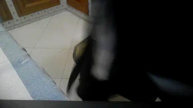 polloiw online show from 10.18.25