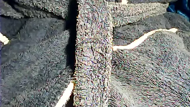 kalinixta online show from 10.02.25