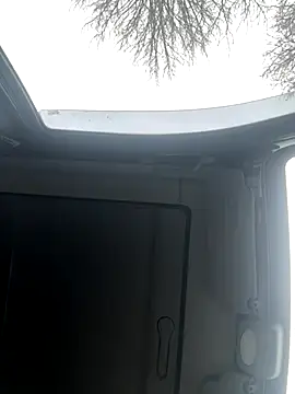 Lionayowe online show from 11.19.25