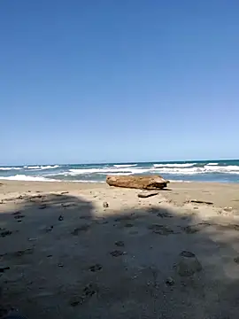 Snapshot of Luna-Natural chatting on 11.08.25 Luna-Natural online show from 11.08.25