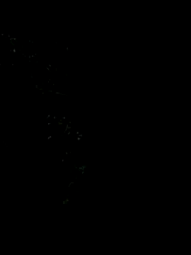 Snapshot of Ixchel_Anaid chatting on 01.05.26 Ixchel Anaid online show from 01.05.26