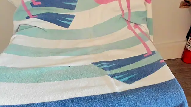 Snapshot of bigpru chatting on 10.11.25 bigpru online show from 10.11.25