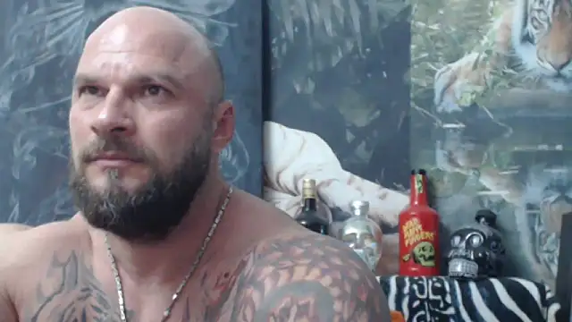 viking 30 online show from 06.04.26