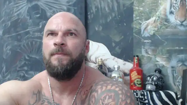 viking 30 online show from 06.06.26