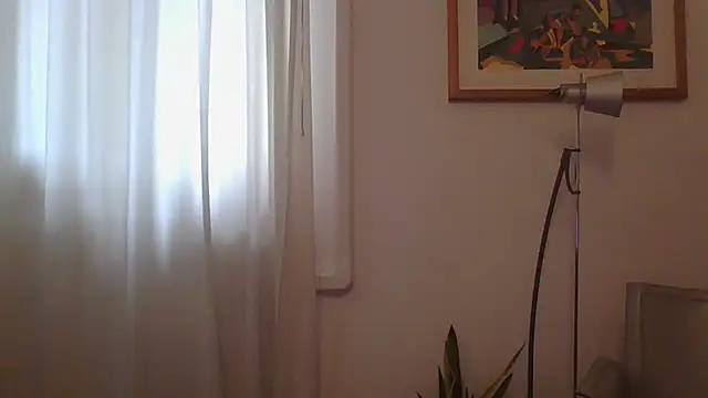 ANONIMO7735 online show from 03.12.25