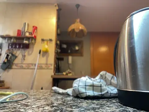 camelia3 online show from 11.22.25