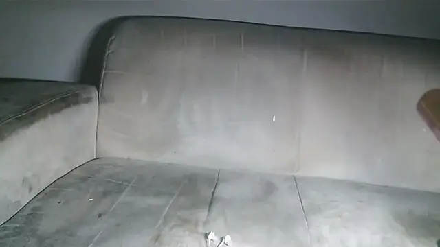 Snapshot of CORONALD chatting on 11.04.25 CORONALD online show from 11.04.25