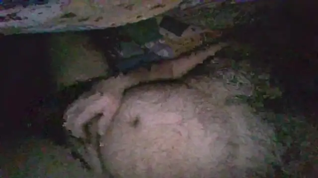 Snapshot of gerilom8787 chatting on 02.04.26 gerilom8787 online show from 02.04.26