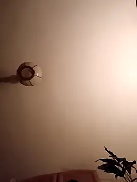 FireFox Feel online show from 03.14.25