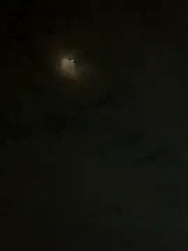 Snapshot of jesusthedonkey chatting on 11.30.25 jesusthedonkey online show from 11.30.25