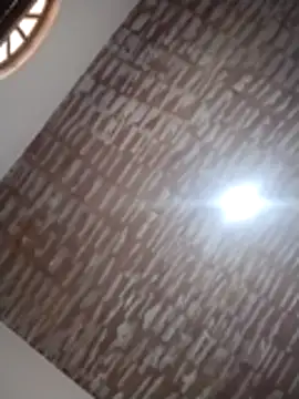 catdool online show from 12.14.25