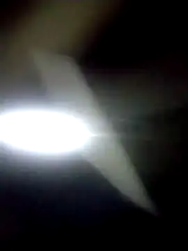 catdool online show from 01.07.26