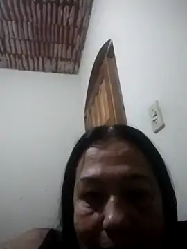 catdool online show from 03.28.26