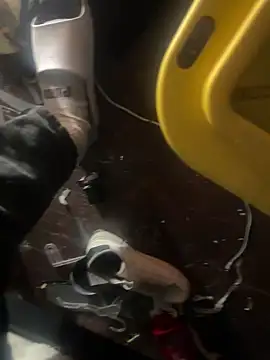 Exclusivenutxxx online show from 01.23.25