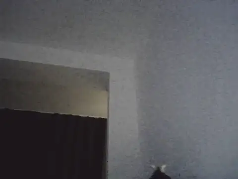 FallenDevil online show from 03.13.26