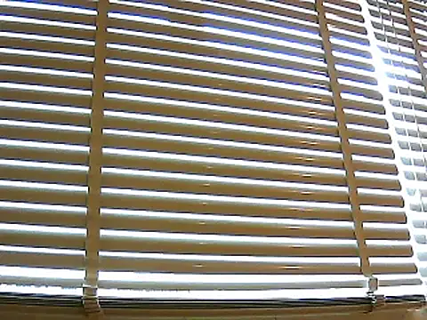 papiculo86 online show from 01.26.25