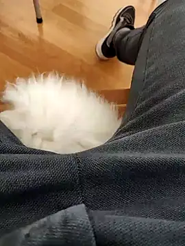 papiculo86 online show from 02.02.25