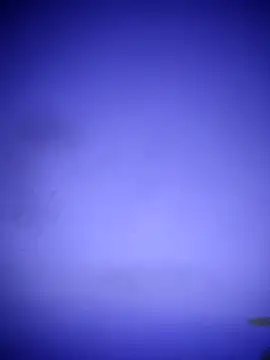 waspy online show from 03.08.25