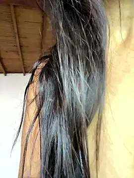 pleasureMyAss- online show from 01.17.26