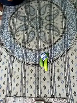 Snapshot of PrabV0319 chatting on 11.05.25 PrabV0319 online show from 11.05.25