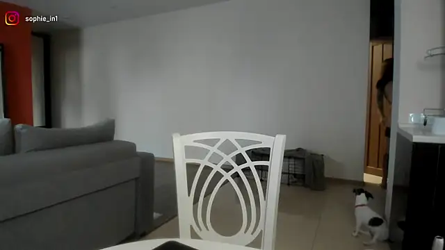 Snapshot of _in_yan chatting on 02.18.26 in yan online show from 02.18.26