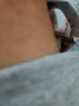 riggijaviersalas online show from 11.14.25