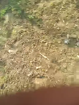 FinableKnee online show from 10.27.25