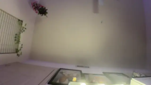rennibear online show from 12.09.24