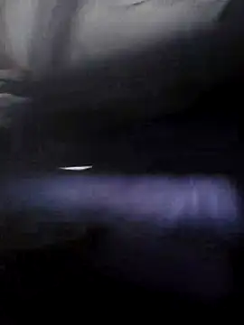 MysterBearMG online show from 03.19.26