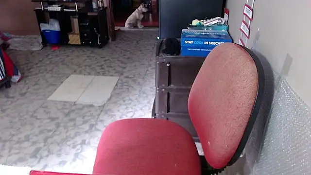 Barbiegomez online show from 03.19.26