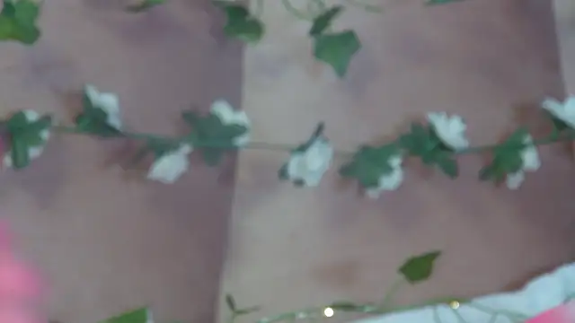 Snapshot of GentleRossi chatting on 03.17.26 GentleRossi online show from 03.17.26