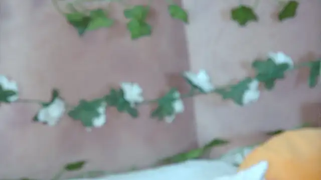 Snapshot of GentleRossi chatting on 04.08.26 GentleRossi online show from 04.08.26