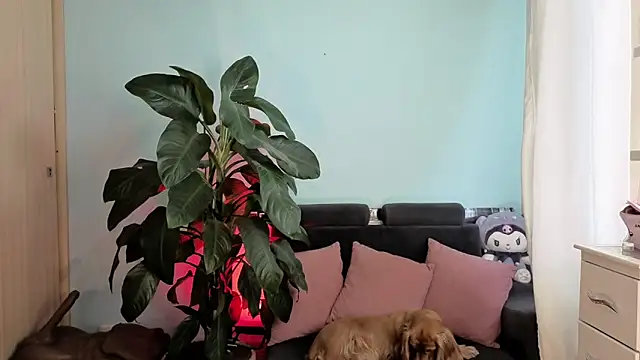 Snapshot of melisa_es chatting on 02.05.26 melisa es online show from 02.05.26